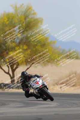 media/Apr-12-2025-Race Pace (Sat) [[9230add55f]]/Vested/6-Turn 4 Tree of Life (115pm)/